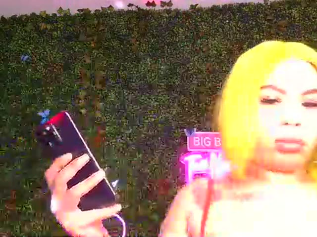 model